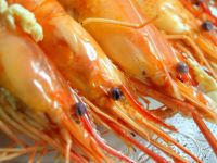 
	Gastronomia, noua oportunitate explorata de agentiile de turism. La ce preturi ajung pachetele exotice ce includ experiente culinare de neuitat
