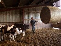
	Activitatea a 32 de automate de lapte alimentate de la ferme, suspendata
