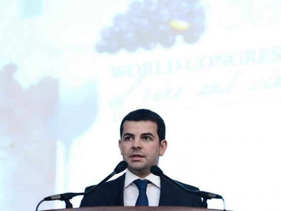 Ministrul Agriculturii: Reducerea TVA la carne va fi facuta, probabil, anul viitor