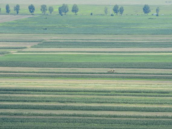 Bloomberg: Investitorii straini in agricultura, atrasi de preturile mici. Un hectar de teren agricol in Romania costa in medie 6.461 dolari, fata de 25.575 dolari in Marea Britanie