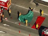 
	Cel putin 7 raniti in incidentul armat de pe aeroportul din Los Angeles
