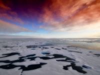 
	Ofertele Targului de Turism: de la &ldquo;plateste unul, pleaca doi&rdquo;, la sejururi de peste 5.000 de euro. Antarctica, Patagonia sau Galapagos, printre cele mai exotice destinatii
